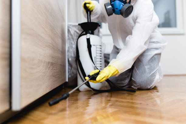 Best Pest Inspection Near Me  in Collinsvle, IL