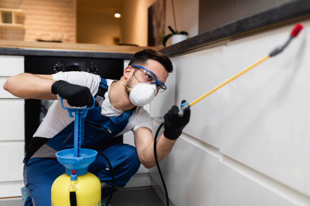 Best Exterminator Services  in Collinsvle, IL