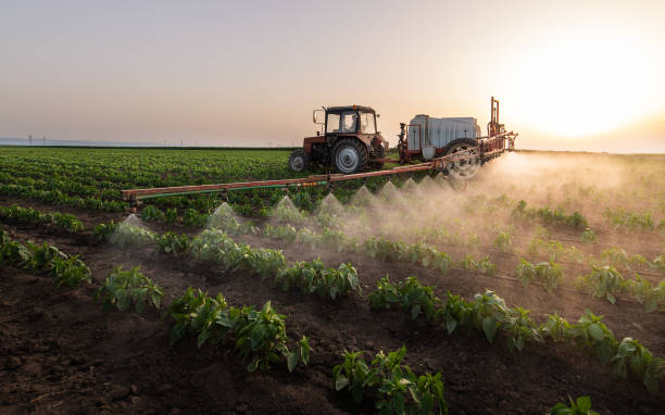 Best Wildlife Control Services  in Collinsvle, IL