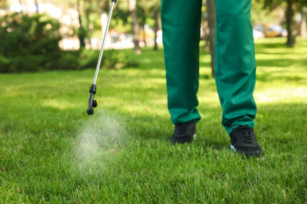 Best Pest Removal Services  in Collinsvle, IL