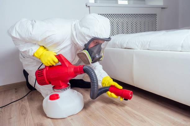 Best Pest Inspection Near Me  in Collinsvle, IL