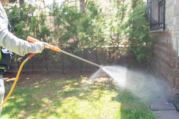 Best Spider Control Near Me  in Collinsvle, IL