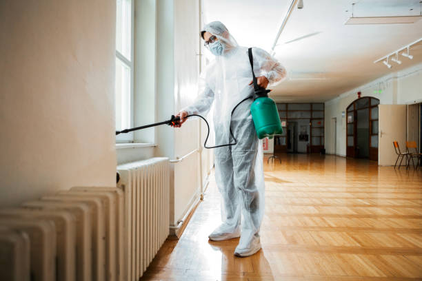 Best Termite Control Services  in Collinsvle, IL