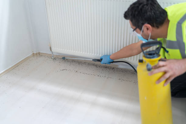 Trusted Collinsville, IL Pest Control Experts